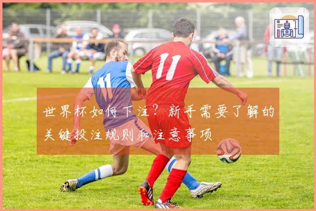 世界杯如何下注？新手需要了解的关键投注规则和注意事项