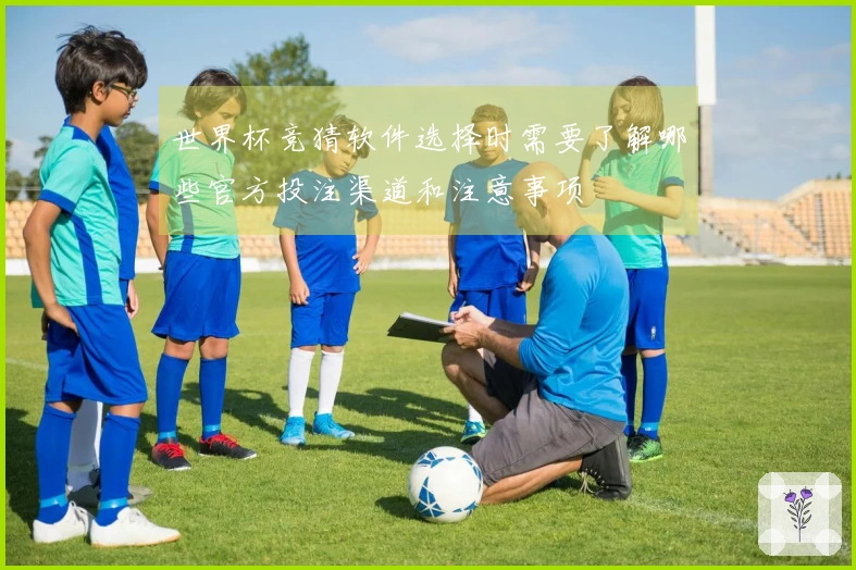 世界杯竞猜软件选择时需要了解哪些官方投注渠道和注意事项