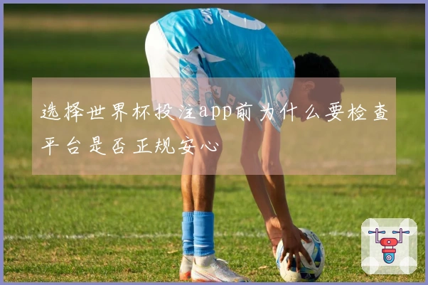 选择世界杯投注app前为什么要检查平台是否正规安心