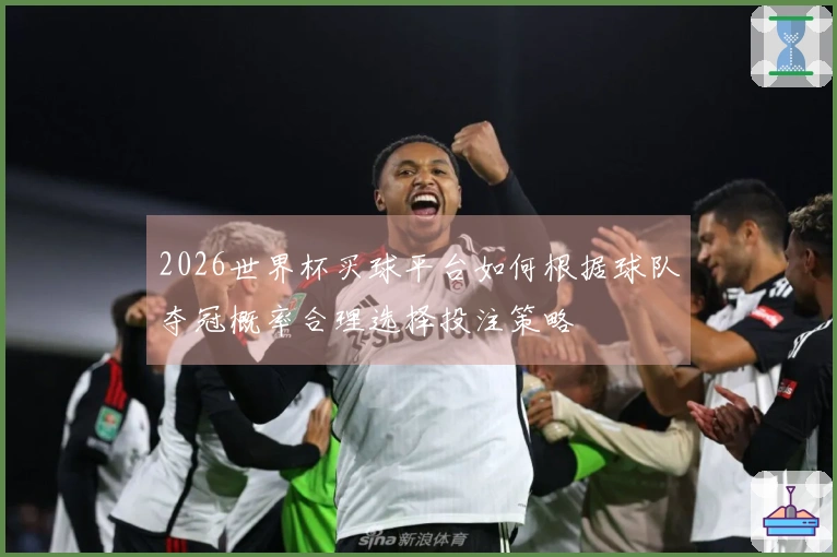 2026世界杯买球平台如何根据球队夺冠概率合理选择投注策略